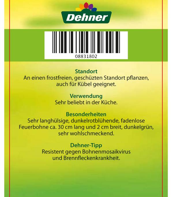 Feuerbohne