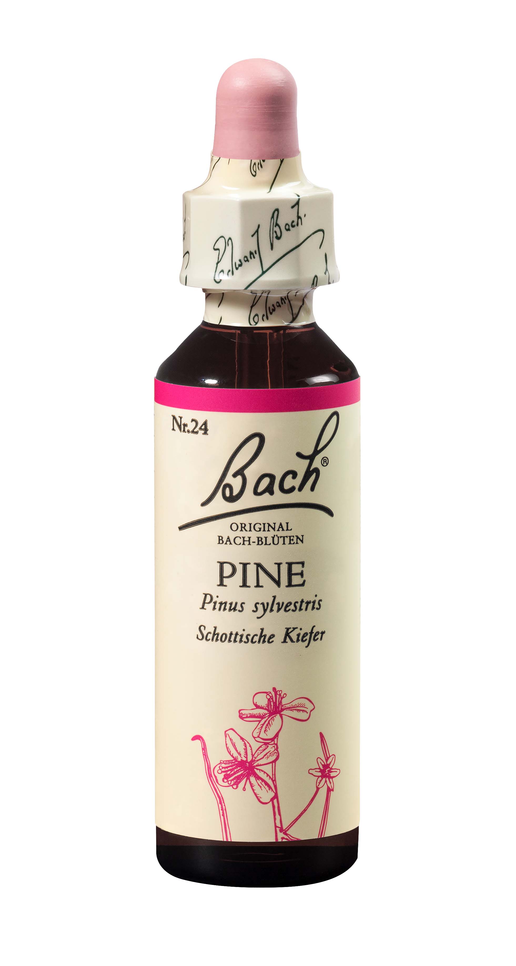Fleurs de Bach Original Pine liq No24 20 ml