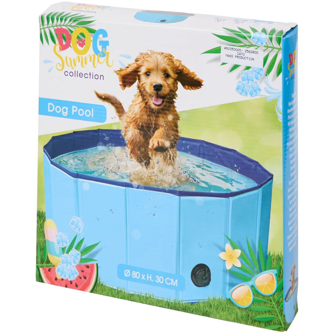 Piscine pour chien