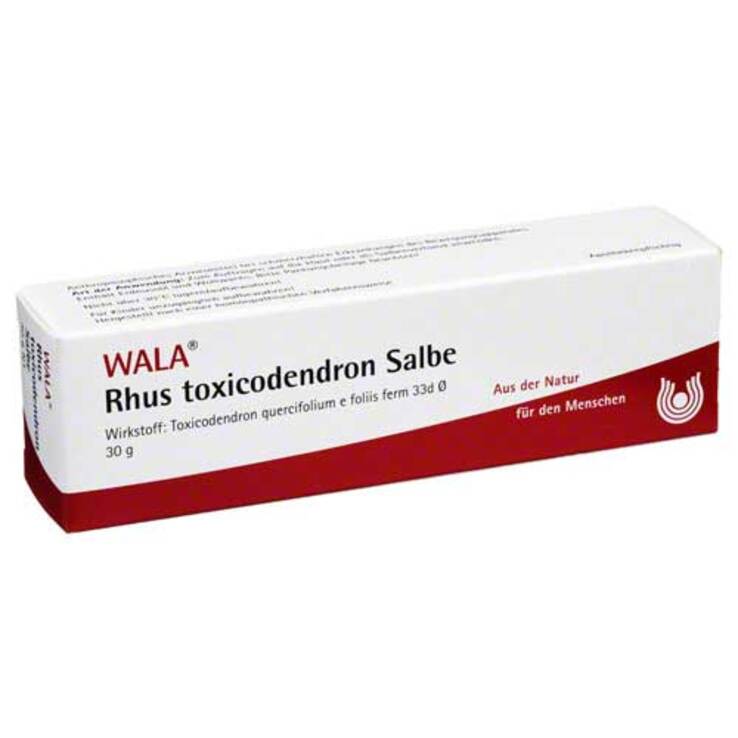 Rhus toxicodendron Salbe, 30 g