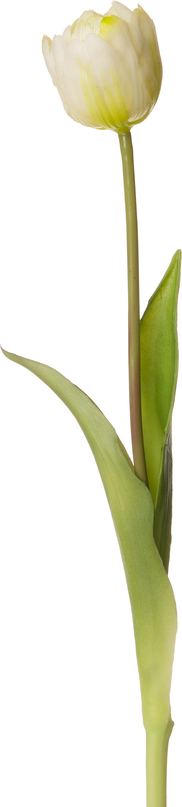 Intratuin kunstbloem Tulp wit 39 cm