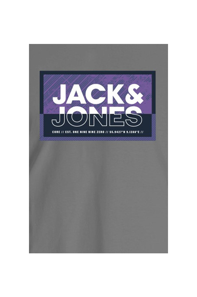 Jack & Jones grijze heren t-shirt