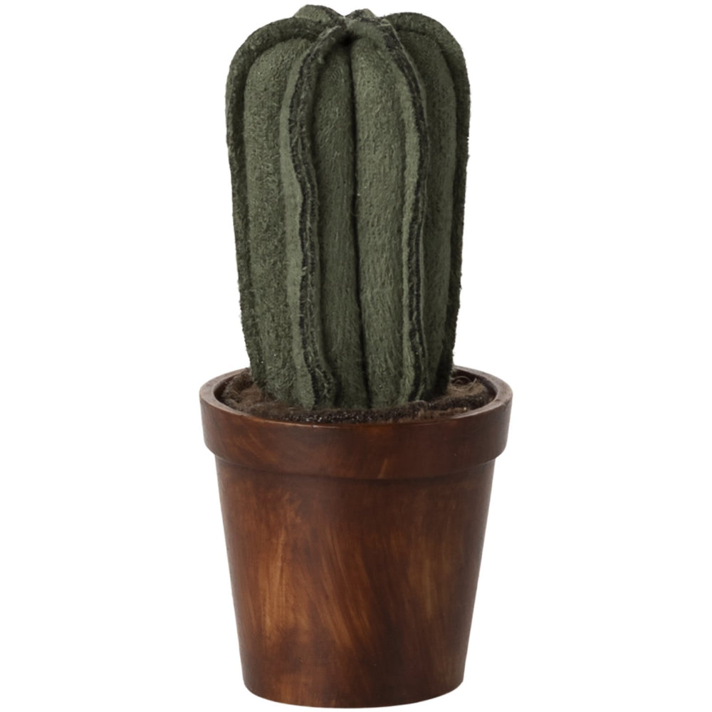 Køb Maileg Potteplante Kaktus
