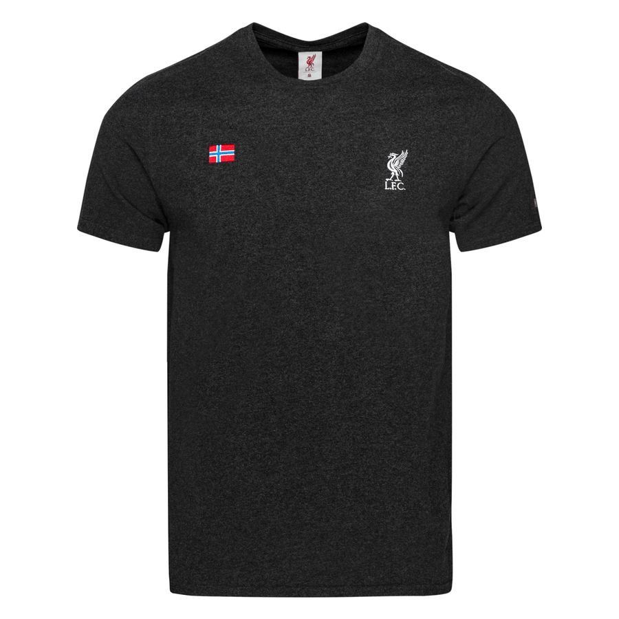 Liverpool T-Shirt Norvège Drapeau - Gris
