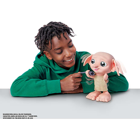 Harry Potter interaktiv Dobby
