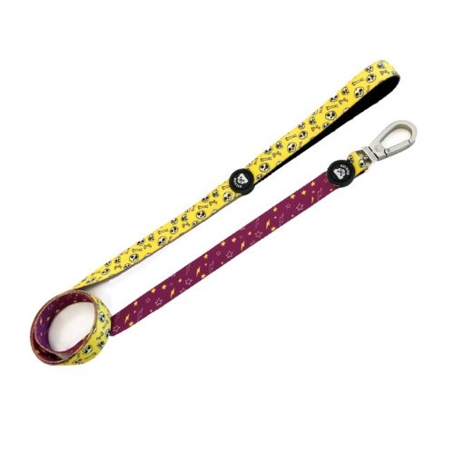 Coleira para cães com estampa de caveira Dukier Skulls