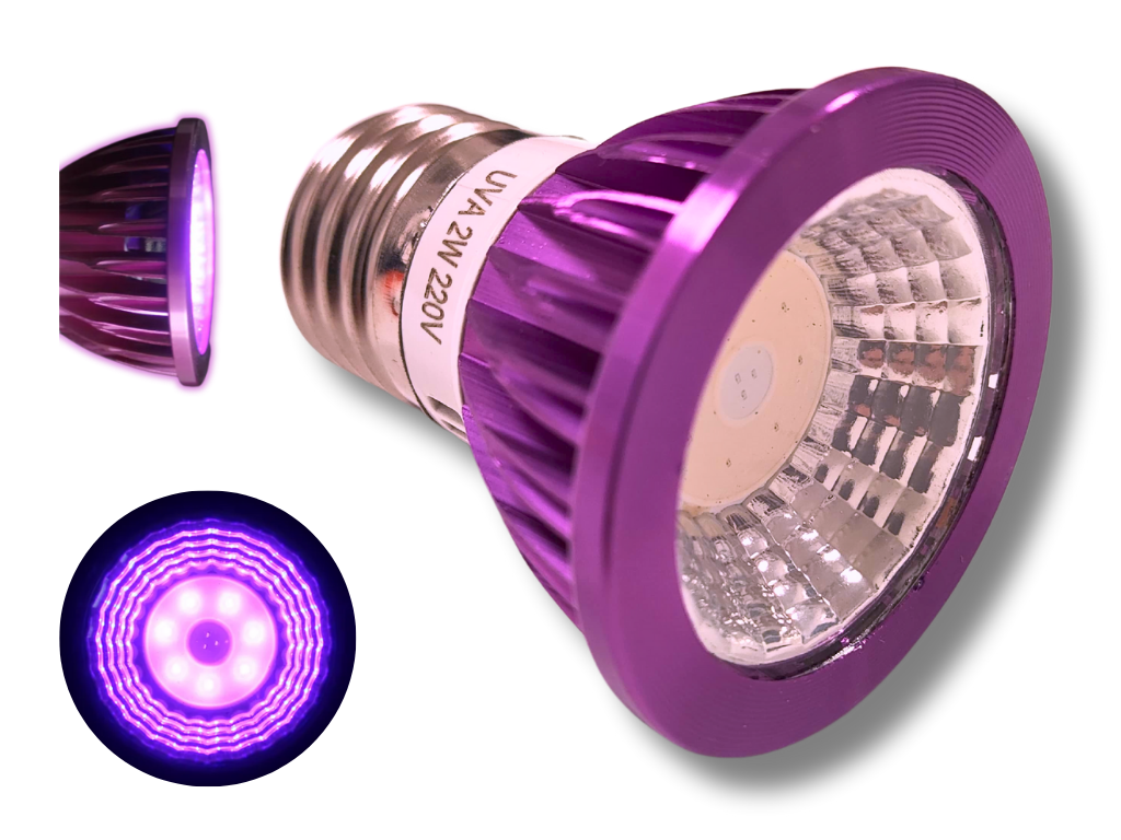 Lâmpada LED para luz noturna