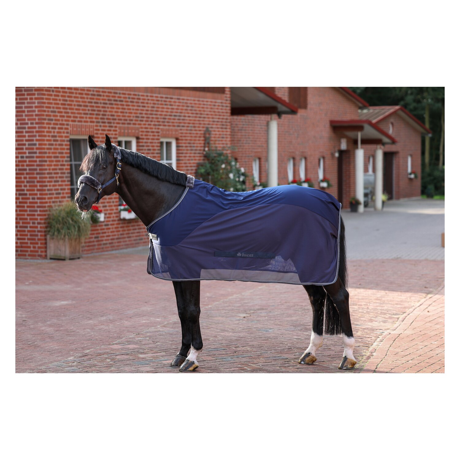bucas Show-Line Collection Halfter - navy/grey