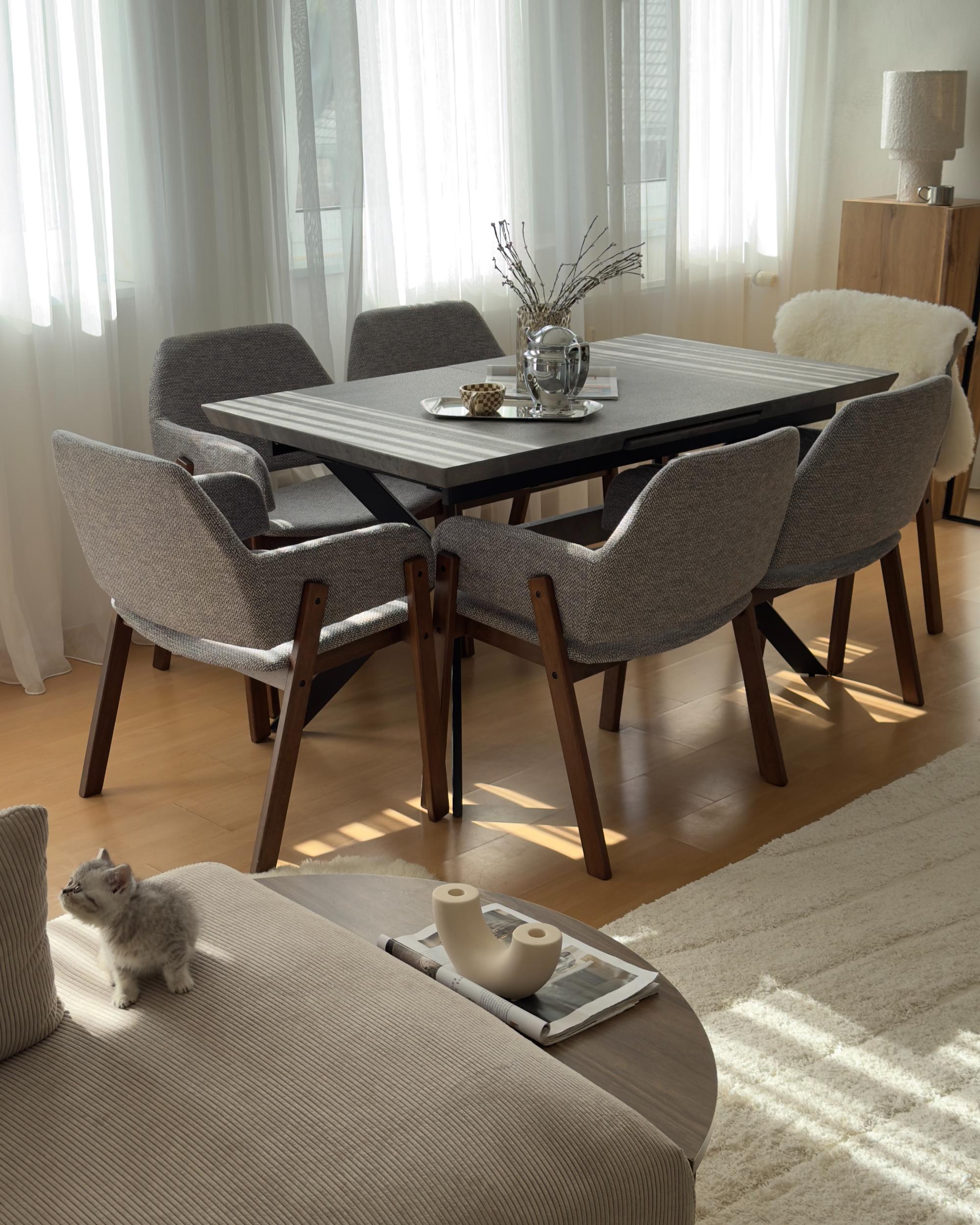 Set van 2 eetkamerstoelen ALBION Grijs