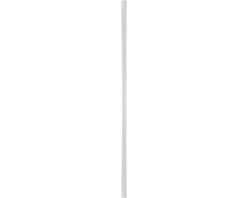 Paulmann Aluminium Profielvloer met Diffuser aluminium/geanodiseerd/satijn 1,0 m