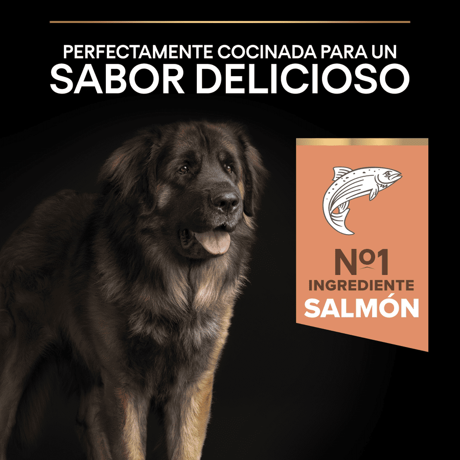 Pro Plan Adult Large Robust Salmon Dog Food para cães com pele sensível.