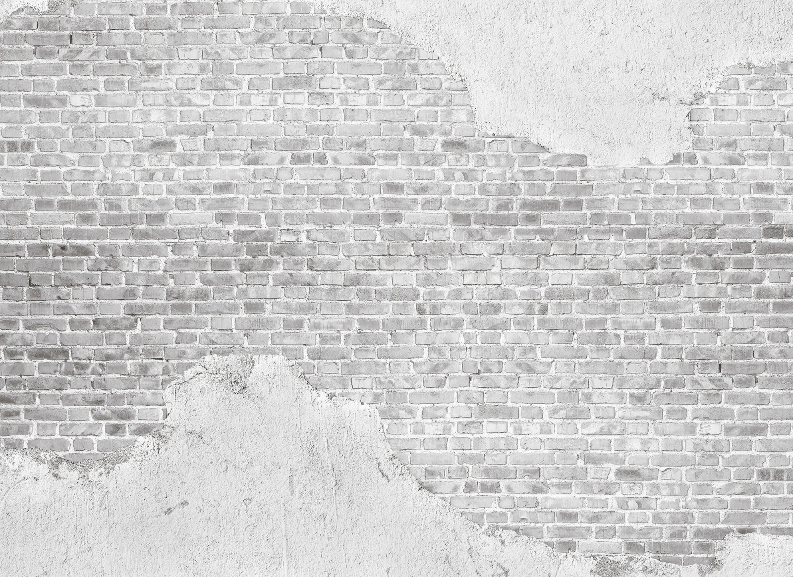 Fototapete DESIGNWALLS - grau - Beton - 2,55 Meter