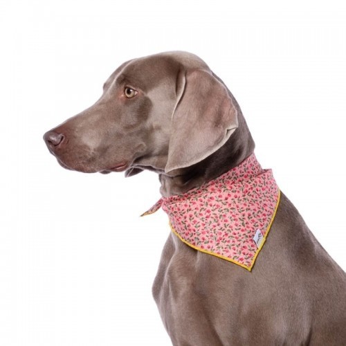 Bandana rosa para cachorro com estampa Liberty