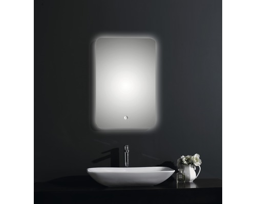 LED badkamerspiegel Silver Moon met aluminium frame 40x60 cm IP 24 (spatwaterdicht)
