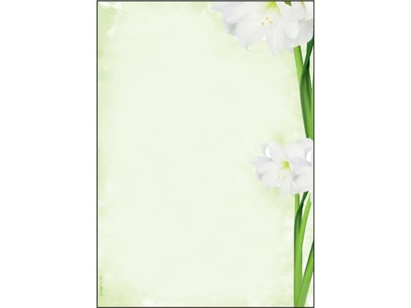 Sigel DP463, Universell, A4 (210x297 mm), 25 ark, 90 g/m², Grønn, Hvit, Forest Stewardship Council (FSC)