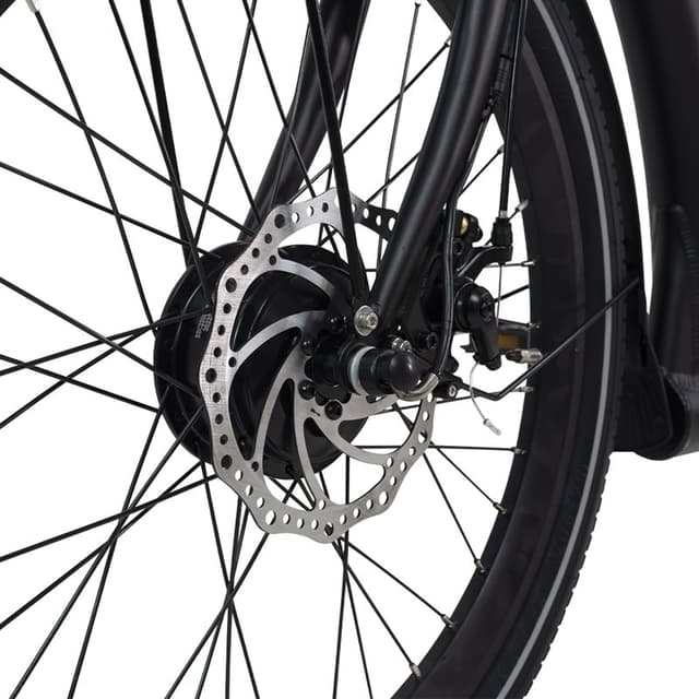 Evobike Flex