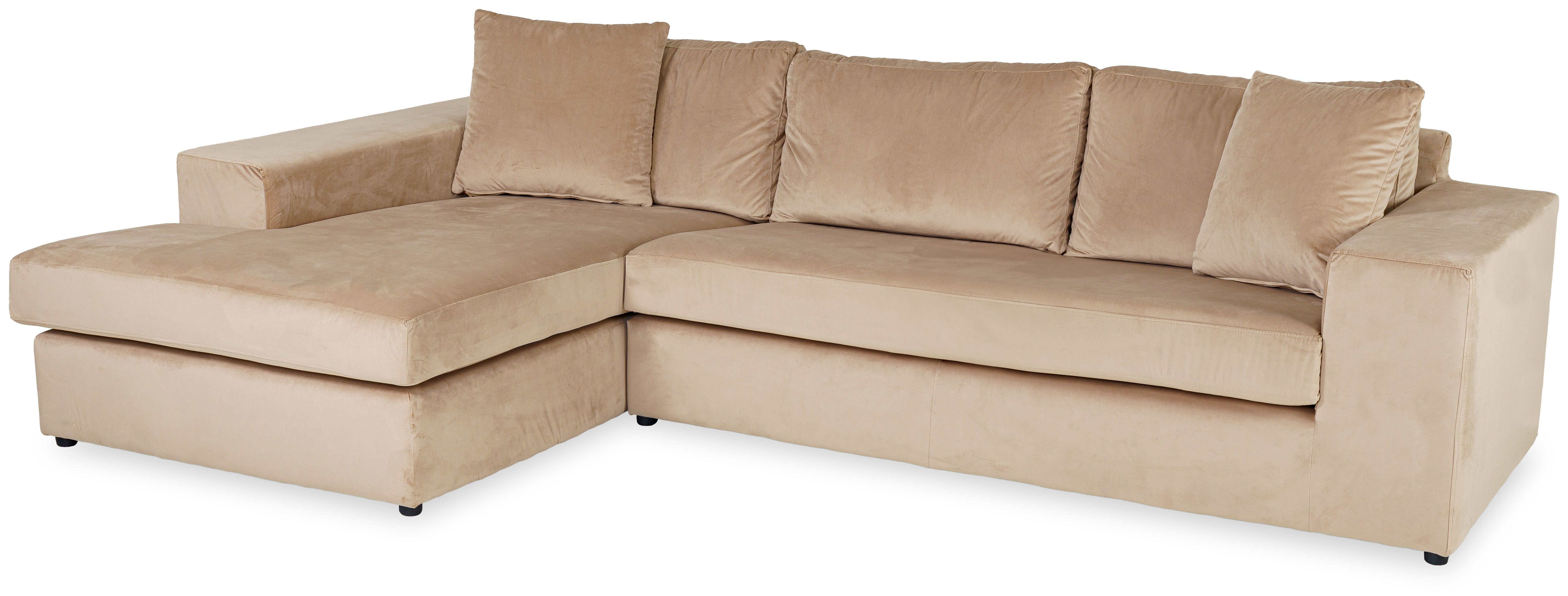 Loungebank  Handsome