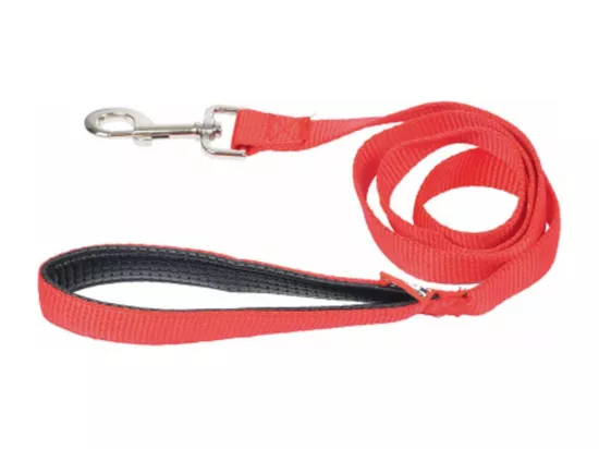 Laisse pour Chien 