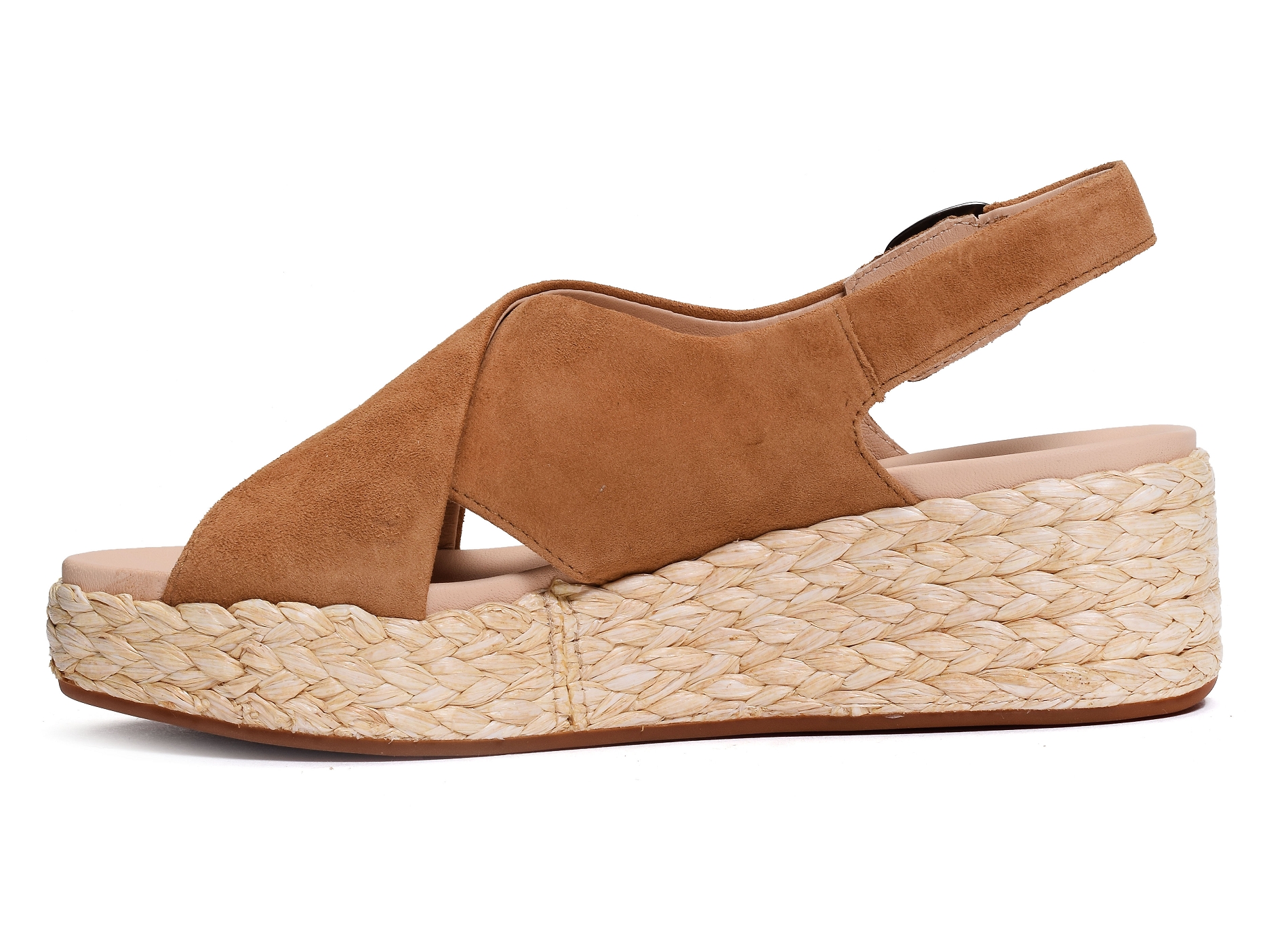 Kimmei cross camel