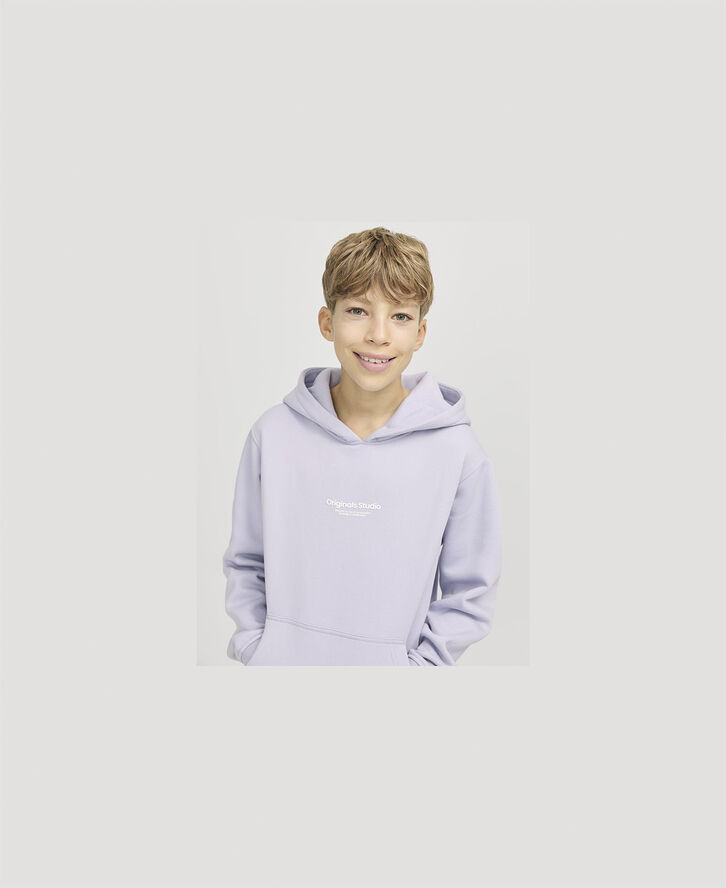 Jack & Jones JORVESTERBRO SWEAT HOOD NOOS JNR Cosmic sky
