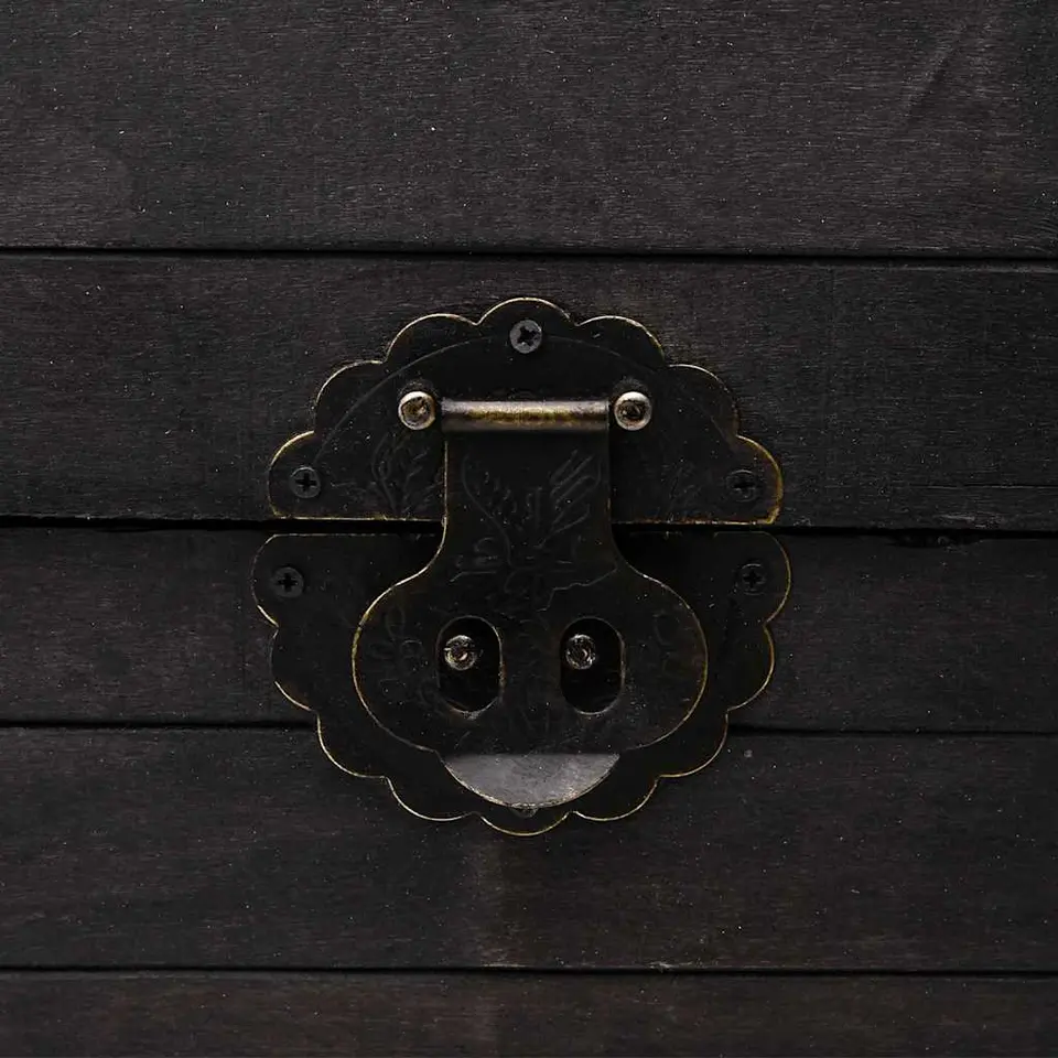 vidaXL - Opbergkast - Zwart - Hout