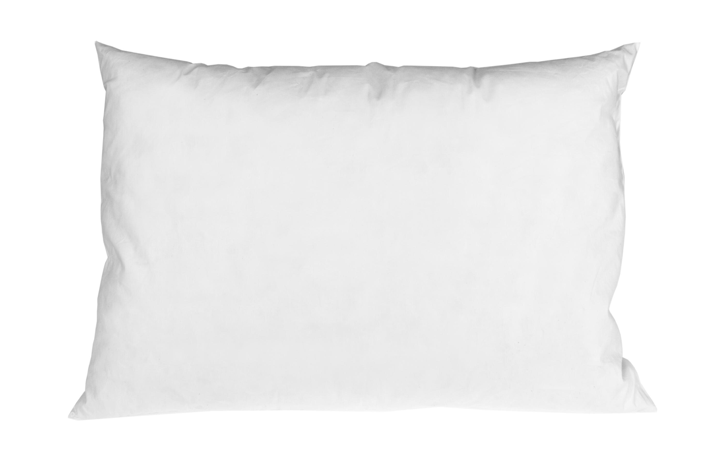 Füllung 40 x 60 cm FederZierkissenfüllung aus Entenfedern