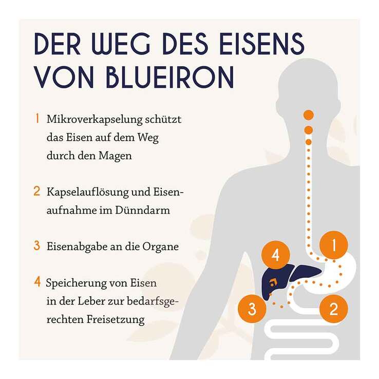 Blueiron Eisen Liquid Flüssigkeit zum Einnehmen, 250 ml