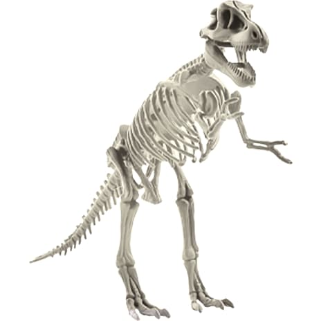Keycraft Magnoidz 3d dinosaur skelet - assorteret