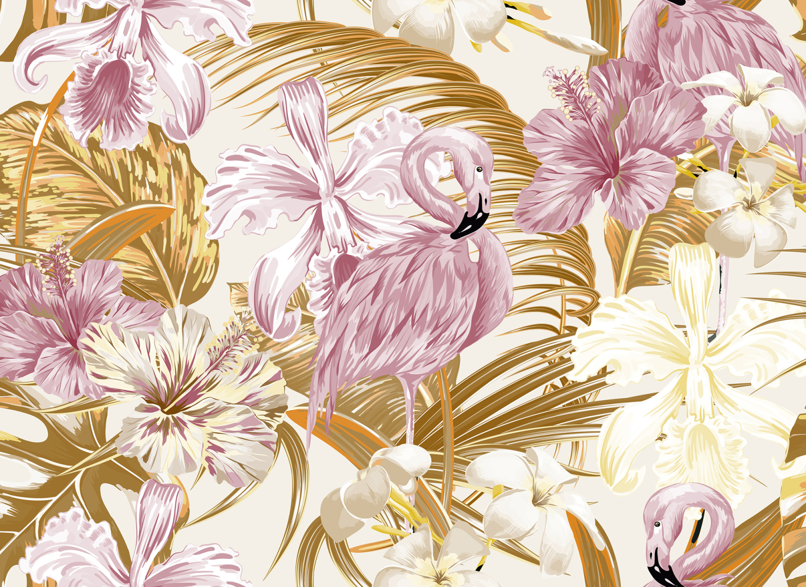 Fototapete DESIGNWALLS - orange-rosa - Pelikan - 2,55 Meter