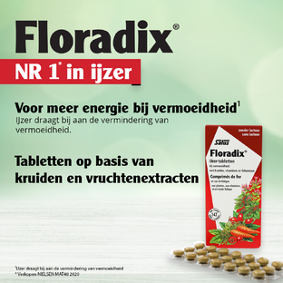 Salus Floradix IJzer Tabletten 147TB