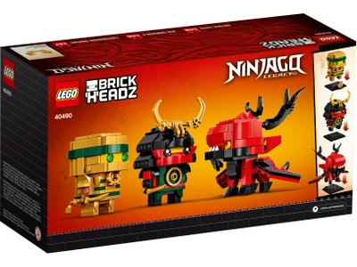 LEGO NINJAGO® 10 (40490)