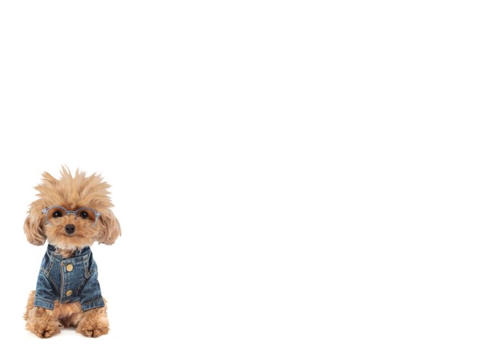 Studio Pets | Verjaardagskaart | Sterren | Have a rocking birthday