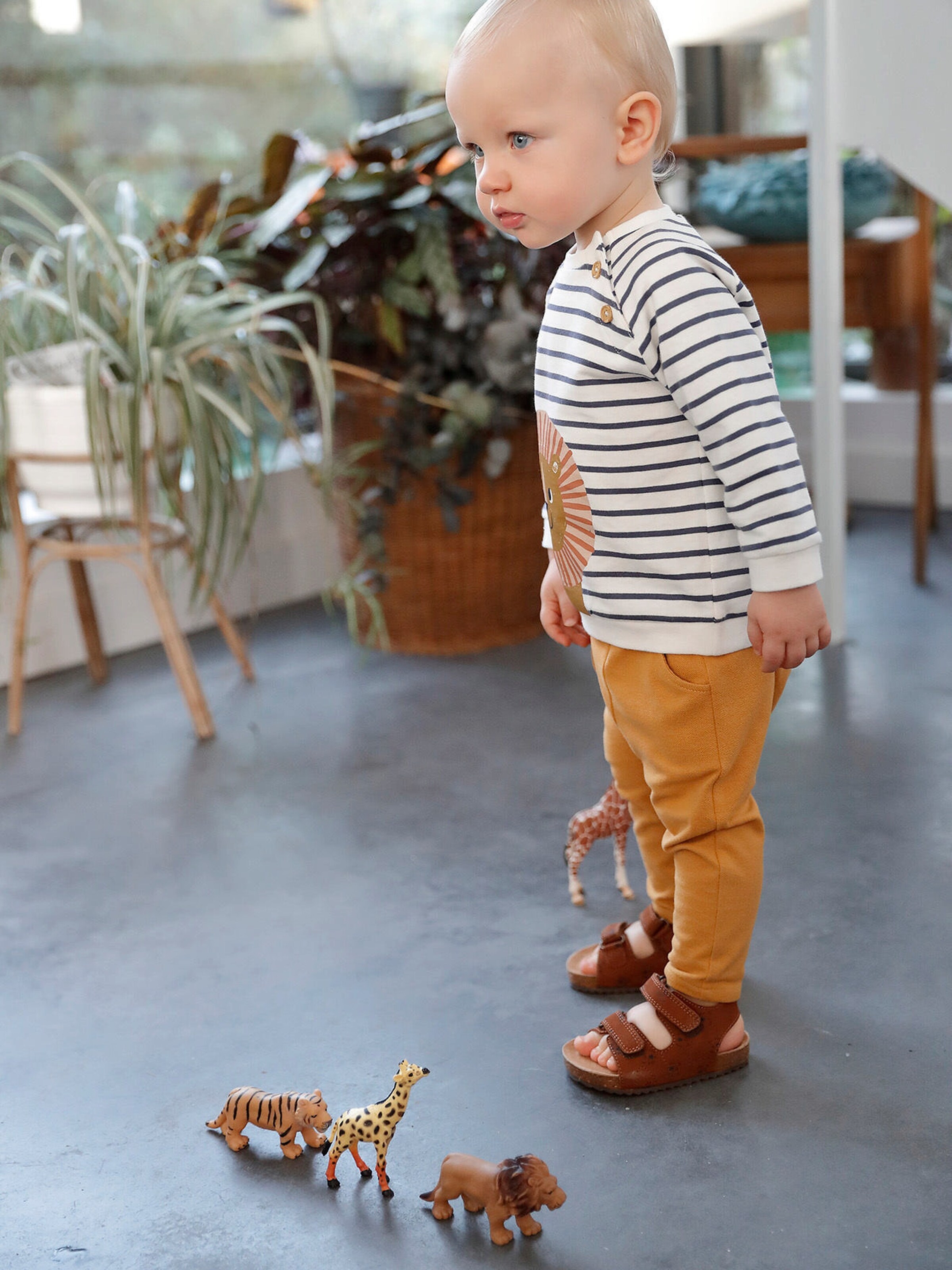 Vertbaudet Baby Sweatshirt, Streifen dunkelblau