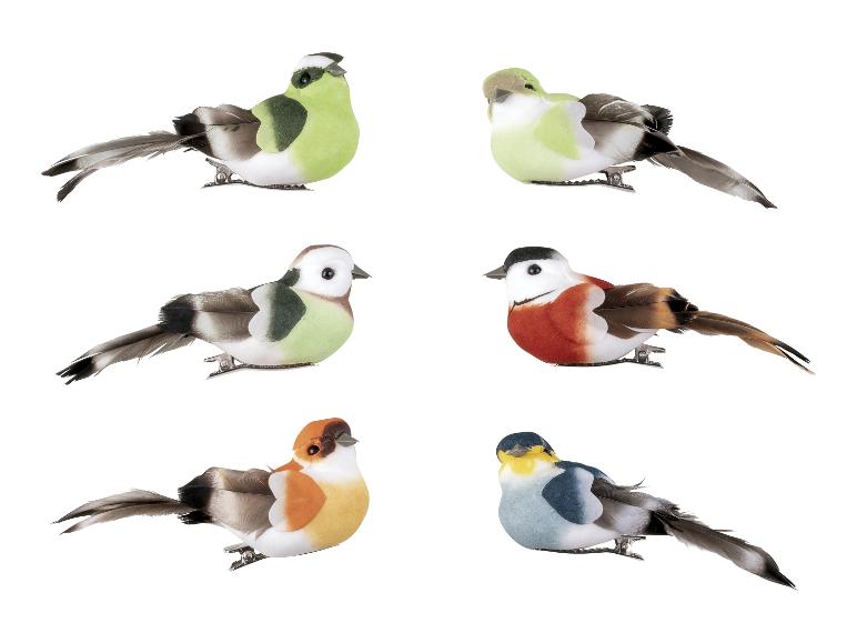 6 Decoratieklemmen