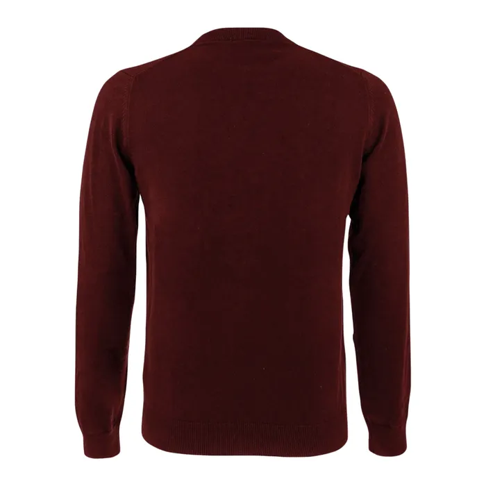 Lacoste V-Neck Sweater Heren