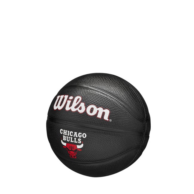 NBA Team Tribute Mini Basketball