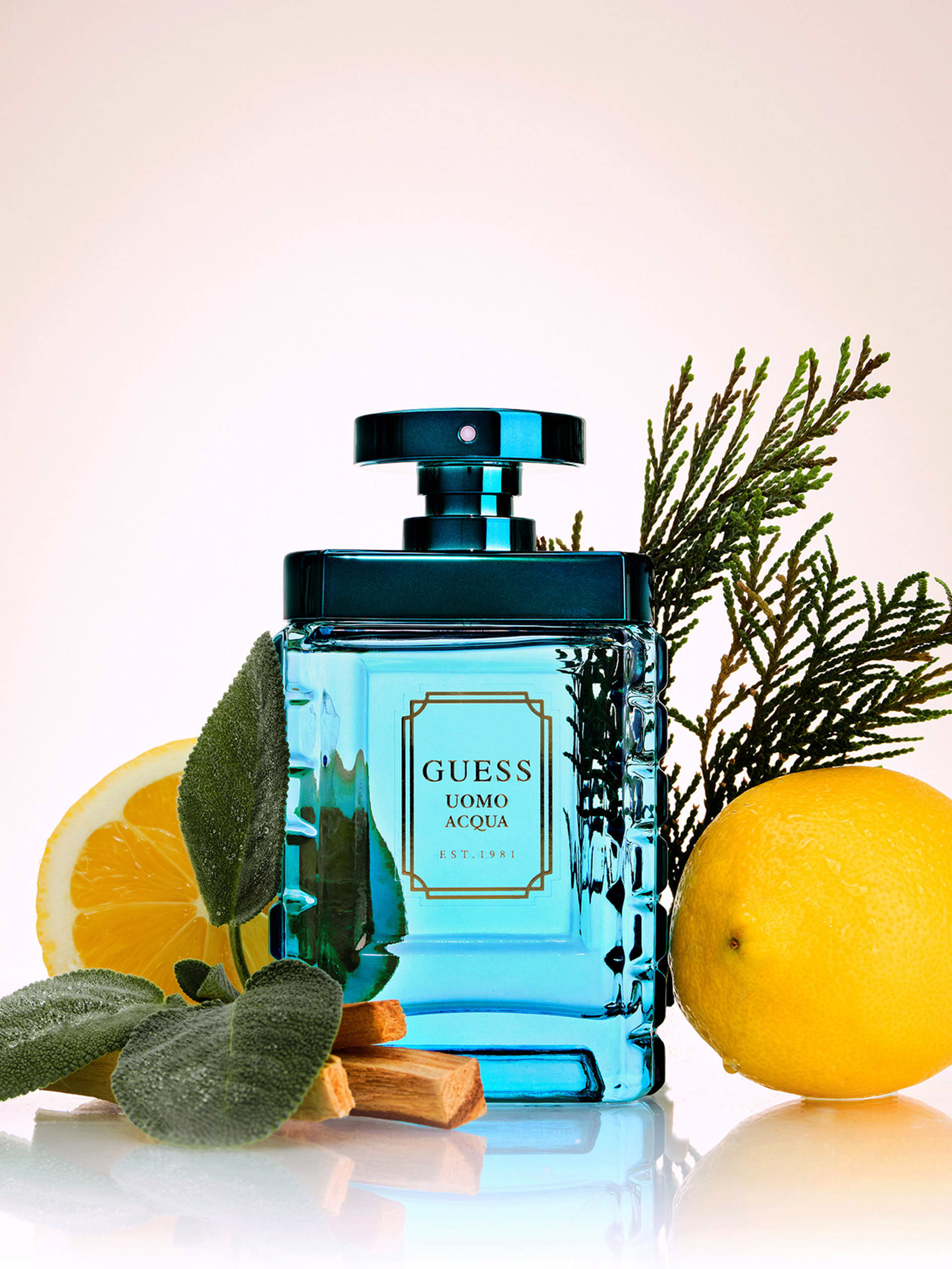 GUESS Uomo Acqua Eau de Toilette, 3,4 onças