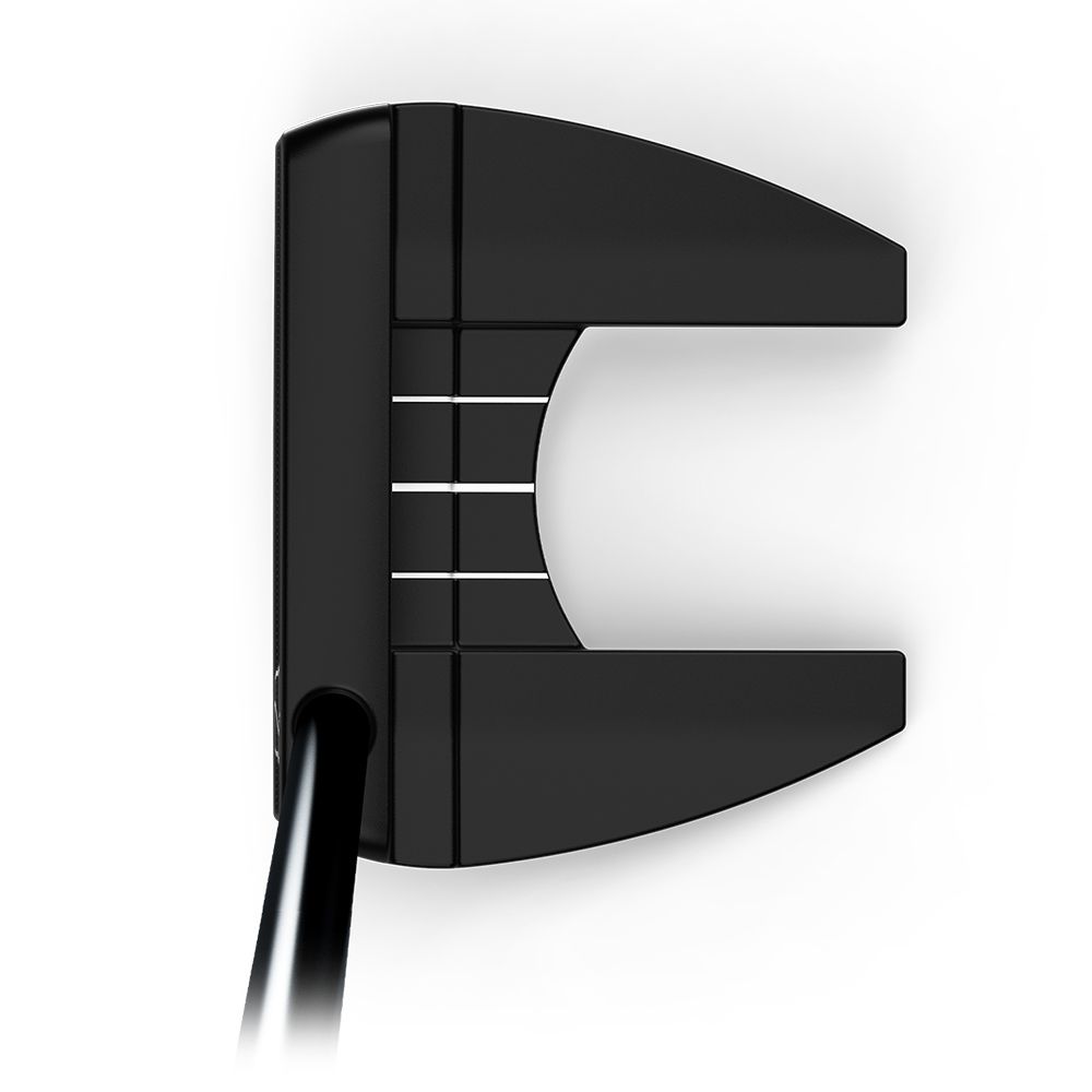 Infinite Bucktown Putter