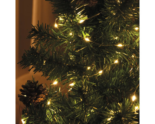 LED lichtsnoer Lafiora 40s 195 cm + 50 cm aansluitdraad, lichtkleur warm wit