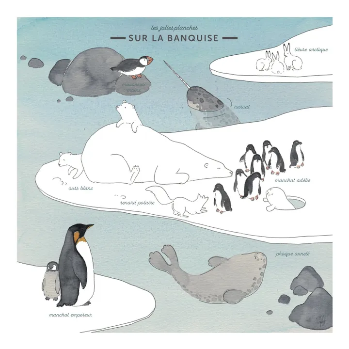 Les Jolies Planches Mini Planches Faune Sauvage et masking tape - Set de 4