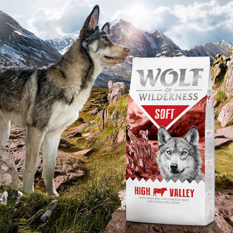 Wolf of Wilderness Adulte Soft High Valley, bœuf