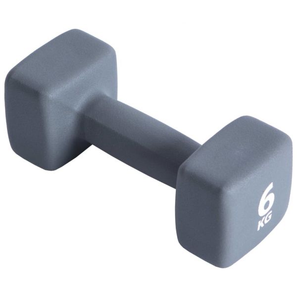 Pure2improve Neoprene Coated Dumbbell Unit Cinzento 6 kg
