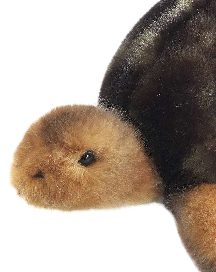 Kuscheltier Schildkröte Slo (20 cm) in grün