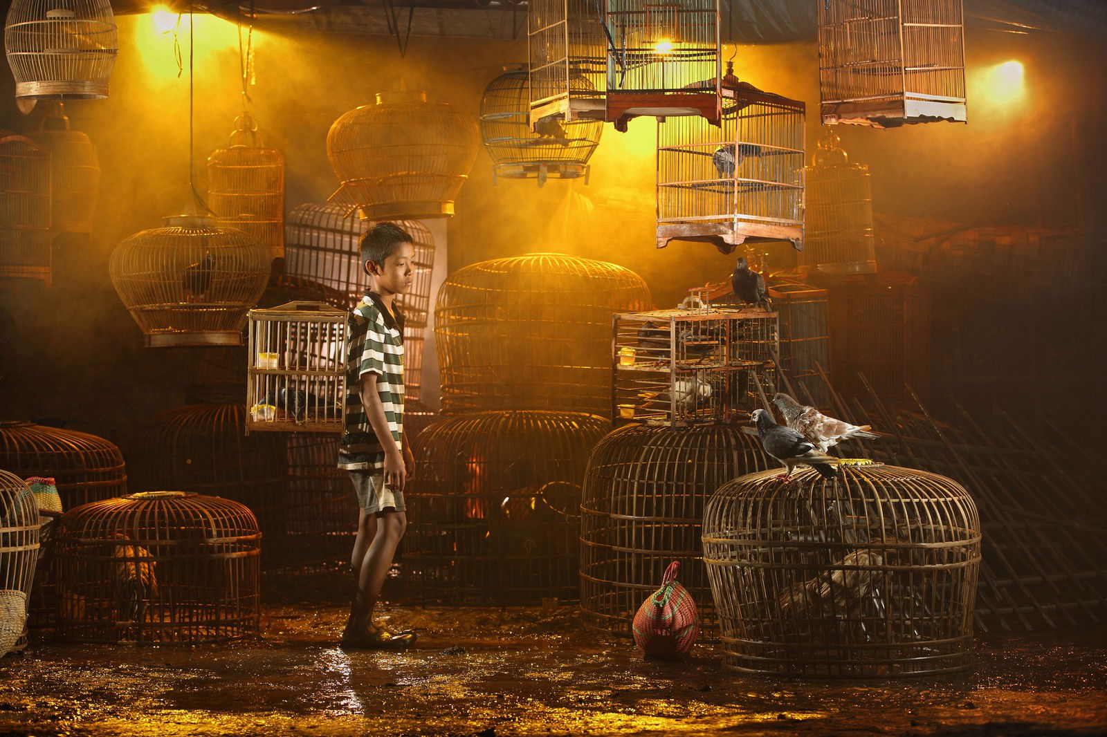 My Pigeon by André Arment - Limited Edition. Edition of: 100. Signed.
