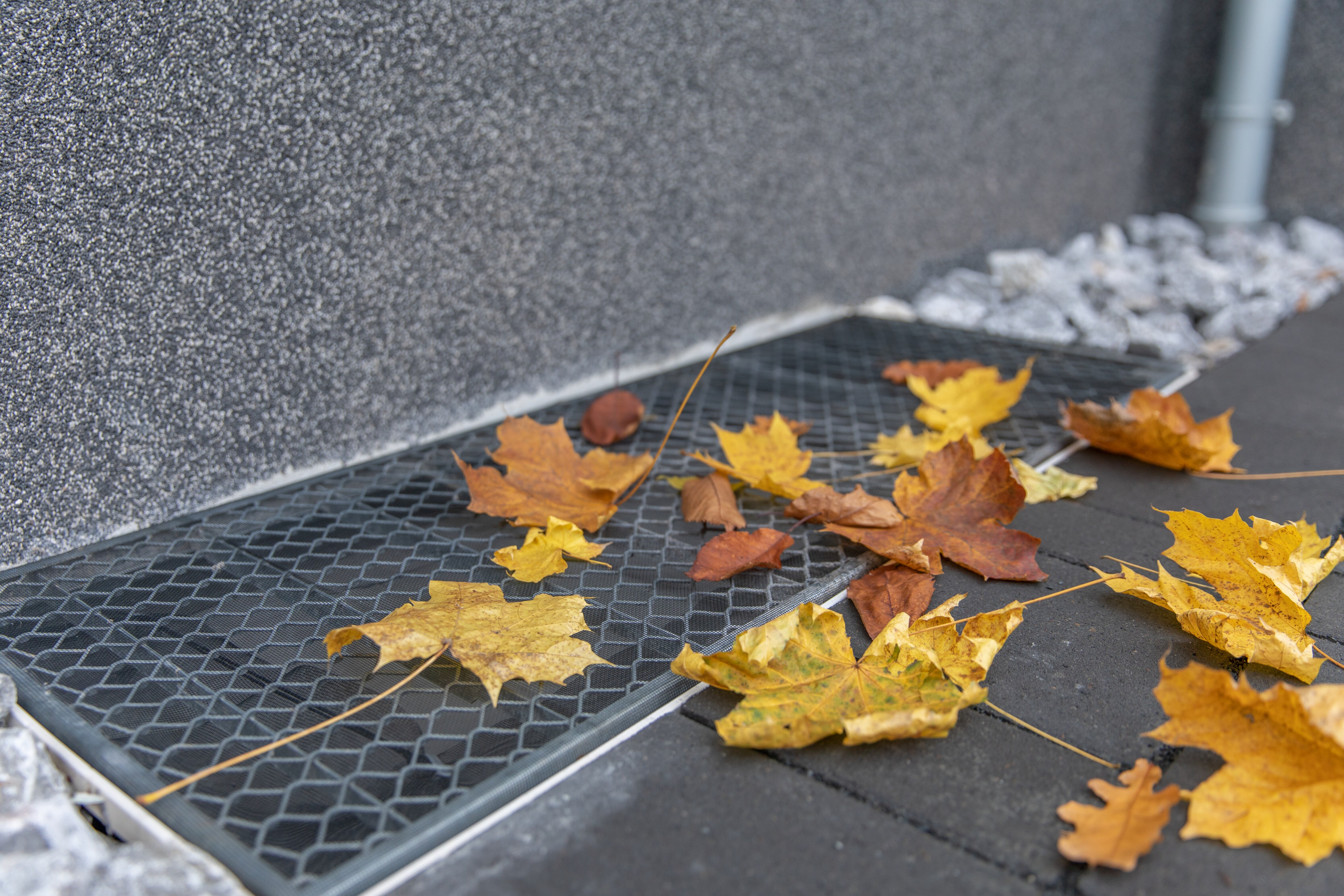 Schellenberg Sauberer Lichtschacht mit Fiberglasgewebe, 50 x 125 cm