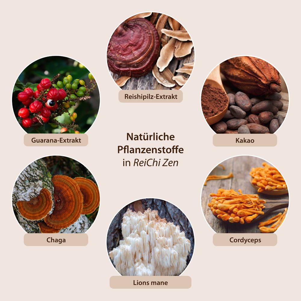 ReiChi Zen Pilz-Kaffee mit Guarana + Reishi + Chaga + Cordyceps + Lions Mane