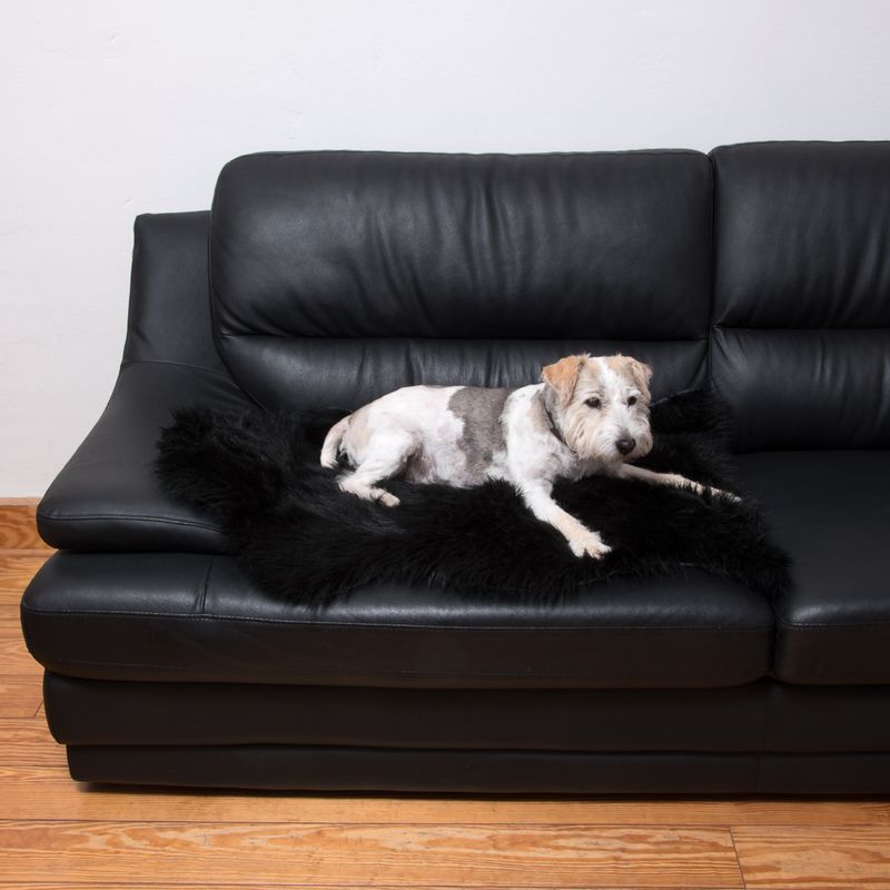 Tapis Smartpet
