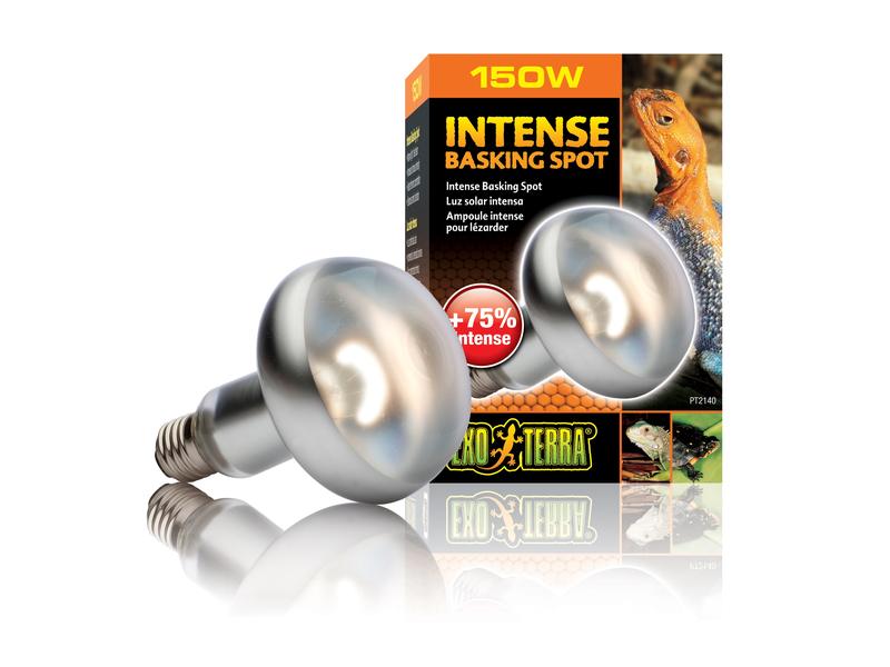 Exo Terra Terrarienlampe Intense Basking Spot E27, R30/150W Wärmespotlampe