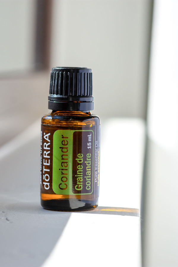 Graine de coriandre  Coriandrum sativum