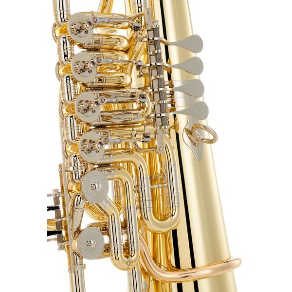 B&S 3100/W-L F-Tuba (PT-12)